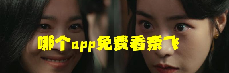 哪个app免费看奈飞