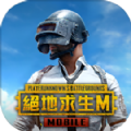 pubg国际服体验服地铁逃生