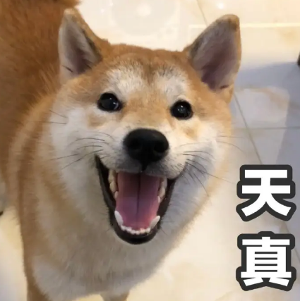 柴犬表情包