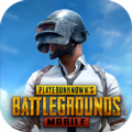 pubg(国际服)2.8