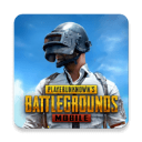 PUBG国际服正版