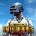 迷雾公益直装pubg2.9