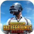 pubg地铁逃生国际服更新版