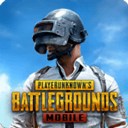 PUBG国际服直装版