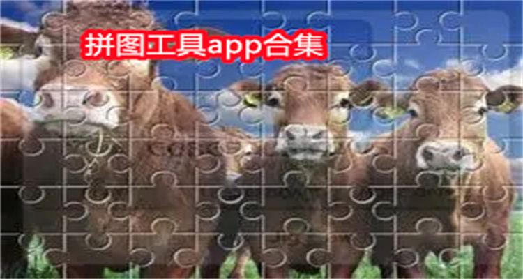 拼图工具app合集