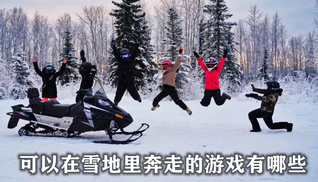 可以在雪地里奔走的游戏有哪些