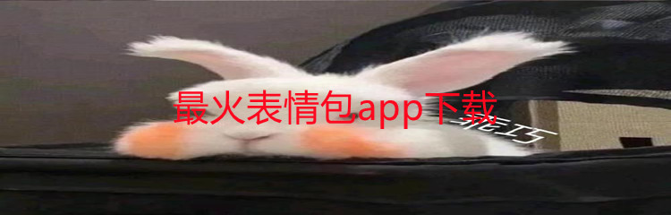 最火表情包app下载