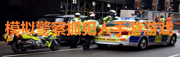 模拟警察抓犯人手游游戏