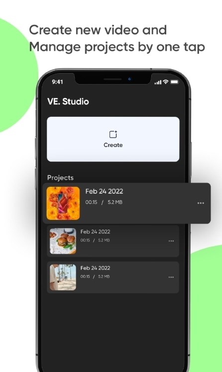 VEStudio