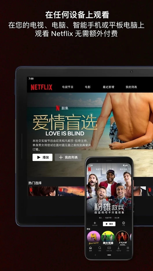 网飞netflix官方app