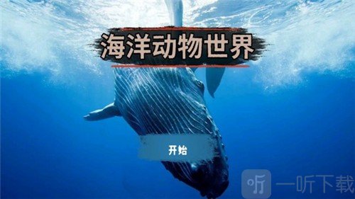 海洋动物世界