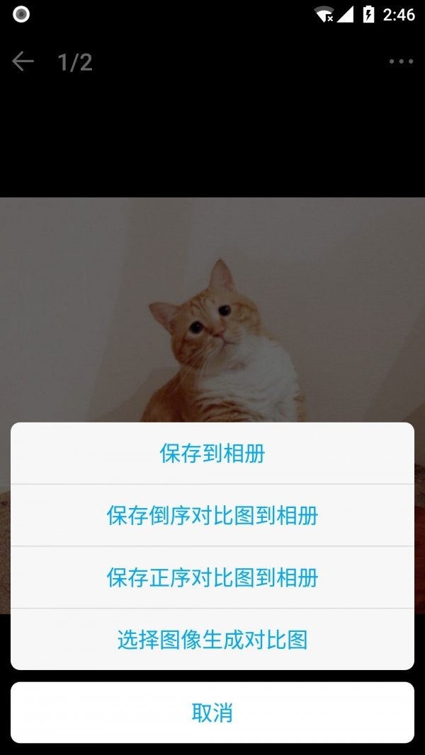 口袋猫咪记账本