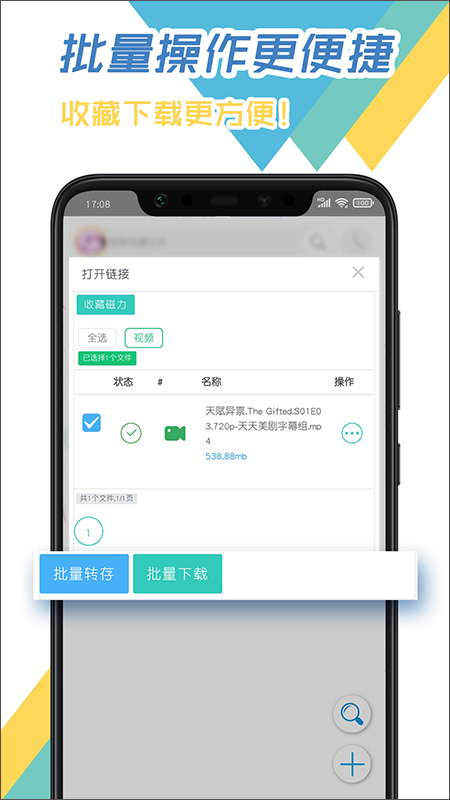 飞鸟下载器app