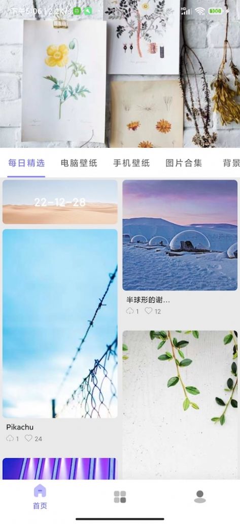 派派壁纸app