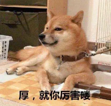 柴犬表情包