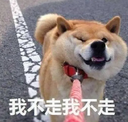 柴犬表情包