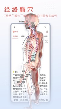 3Dbody解剖软件中文版