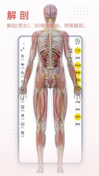 3Dbody解剖软件中文版