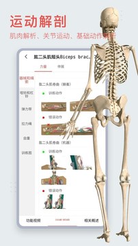 3Dbody解剖软件中文版