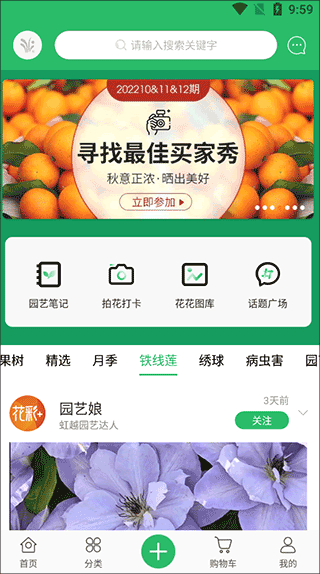 虹越app